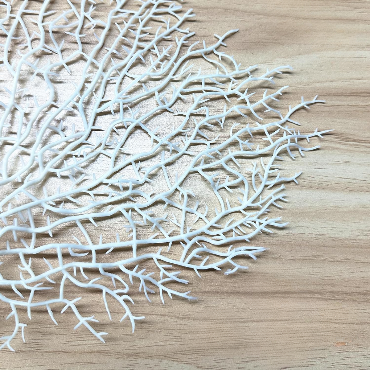 Coquillages flottants - Naturels - Blanc/Blanc cassé - Avec des effets de couleur Aqua - Décorations de vase et dispersion de table